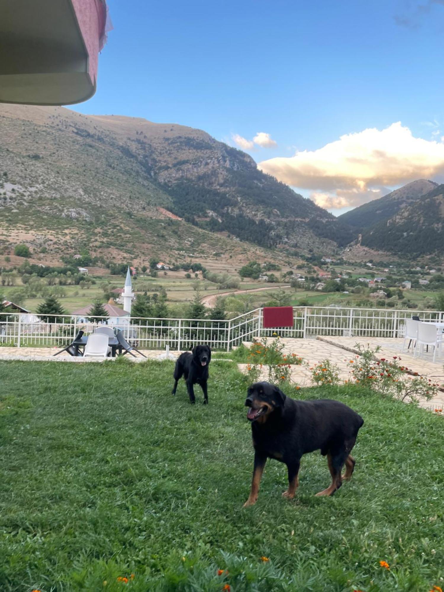 Lura Hotel Fushe-Lure Esterno foto